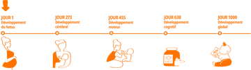 Frise-1000Jours-1536x434.png